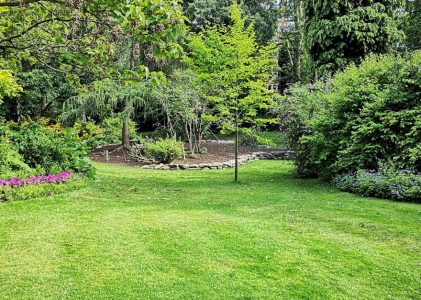 Je gazon herstellen: weg met kale plekken en andere ellende!